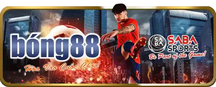 Cá cược bóng đá với quả bóng và sân cỏ